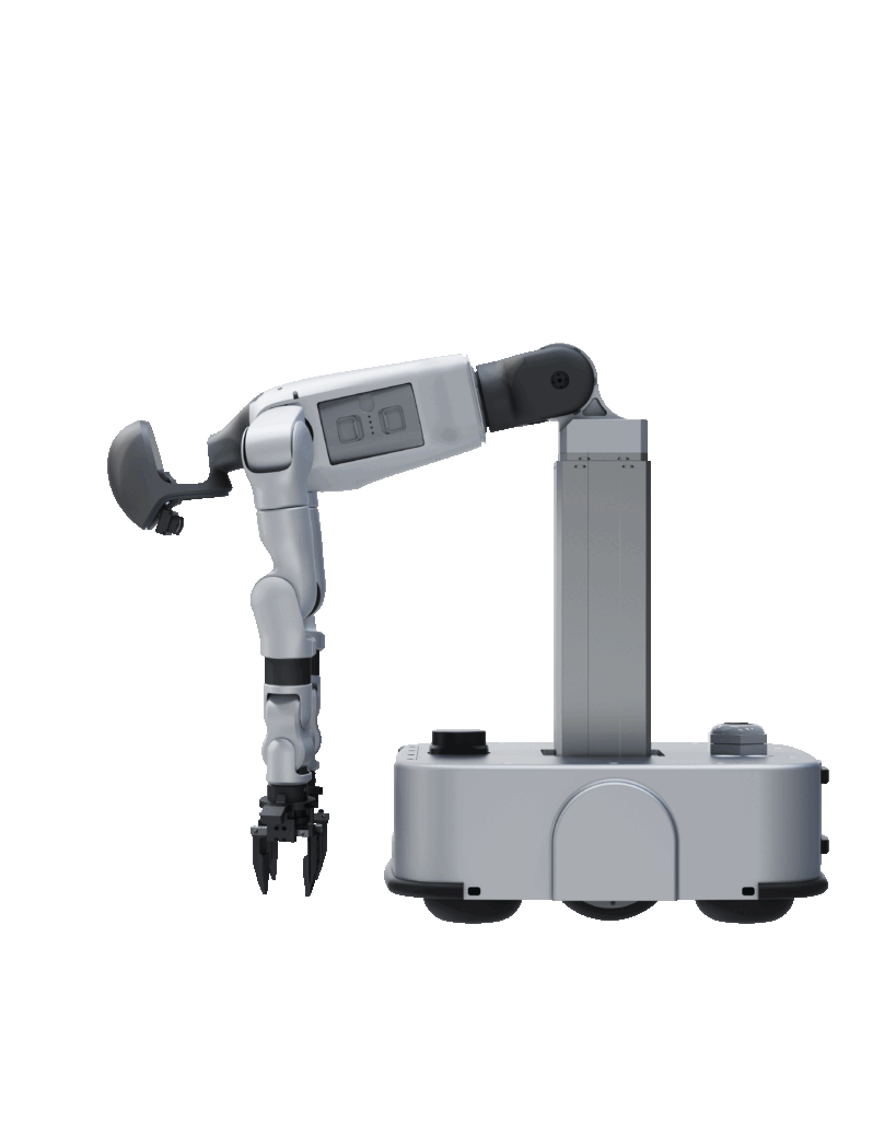 Advanced humanoid robots